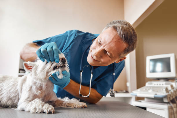 Best Walk-In Emergency Dentist in Old Tappan, NJ
